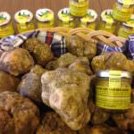 Le capitali toscane del tartufo bianco protagoniste al Fuori Expo
