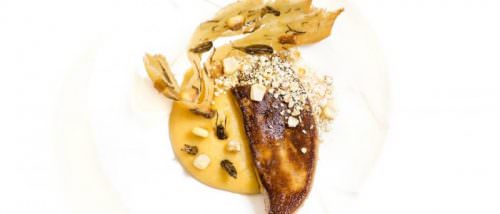 Aphrodite foiegrasgrillon insetti