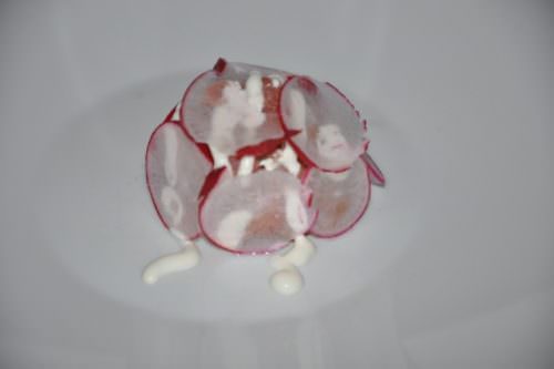 battuta di podolica con salsa allo zenzero e veli di ravanello