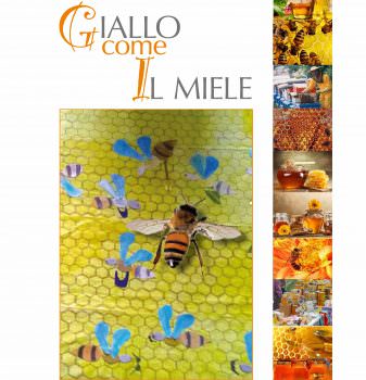Giallo come il miele e i Diritti umani