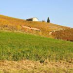 Michele Chiarlo: 60 vendemmie di riconoscimenti e grandi premi 