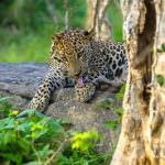 Viaggi avventura: 8 nuovi orizzonti di CartOrange