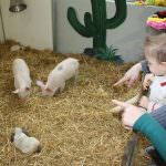 Quarta edizione di Agriturismoinfiera: A Milano da sabato 23 a domenica 24 gennaio