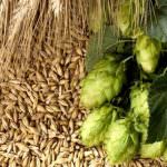 Solobirra a Expo Riva Hotel - Pad. Coffee&Beverage - Riva del Garda