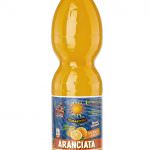 Sicilia: Partnership tra Sibat Tomarchio e il Carnevale di Acireale