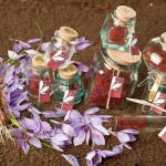 Zafferano Collina D’Oro, profumo intenso e colore brillante