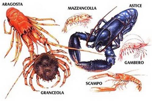 crostacei