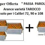 Ecommerce Arance Sicilia: inizia la raccolta della varietà TAROCCO