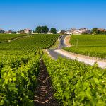 Il bullismo della UE anche contro il nome dei vitigni italiani