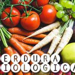Bio Bio Bio FruttaWeb: frutta e verdura biologica fresca si comprano online