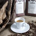 Lavazza ed Eraclea protagonisti al Salon Du Chocolat a Milano