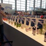 Aloe Vera o "Aloe Falsa"? 10 Consigli pratici per non farsi ingannare!