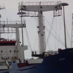 Tunisia: Olive clandestine salgono a bordo della nave-frantoio e diventano olio di oliva Made in italy