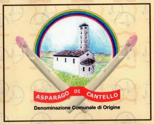 asparago di cantello IGP