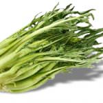 Canton Ticino, Mendrisio: all’Ateneo del Vino spuntano… le puntarelle romane