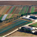 Azienda biologica "LaSelva": Alimenti inalterati e ingredienti di qualità