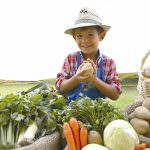 Ecologico e kmzero: non sono sinonimi di biologico