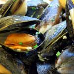 Cozze di piattaforma al petrolio