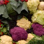 Gli alimenti-farmaco: un approccio pericoloso