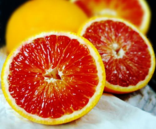 ARANCE ROSSE A ROMA (2)