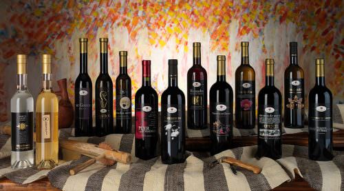 Grande Festa del Vino - Bosa