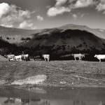 La vera bresaola di manzo, la Brisaola, riparte da Madesimo