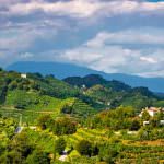 Tenuta San Mor a Vinitaly 2016