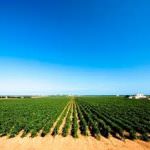 Tenute Rubino a Vinitaly 2016: Un appuntamento da non perdere!