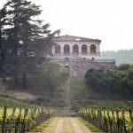 Nasce il Distretto Agroalimentare del Vino Biologico, a Este, Colli Euganei