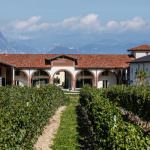 Sul Garda in cantina a Le Morette Lugana - intervista a Fabio Zenato