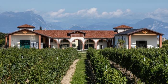 Sul Garda in cantina a Le Morette Lugana – intervista a Fabio Zenato