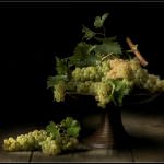 Renato Marcialis: Cultura per il cibo e per la fotografia