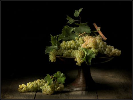 Renato Marcialis: Cultura per il cibo e per la fotografia