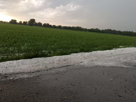 Cremona: ed ora anche la grandine sulla campagna