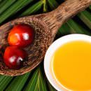 Galera per chi “spaccia” Olio di palma?… News senza commento