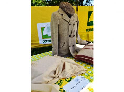 Pecora Brianzola: tosaerba a domicilio!