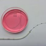 Nato il primo bambino concepito con la tecnologia Anevivo