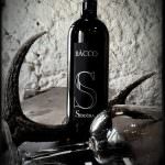 Cantina Siddùra di Luogosanto: Vino biologico in dirittura d'arrivo