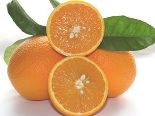 Arance d’estate, in consegna da giugno, l’arancia Ovale