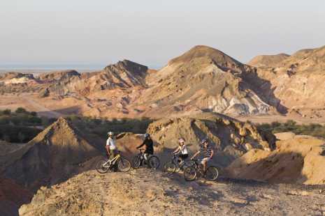 Escursione in mountain bike 