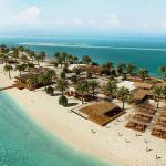 Nuova destinazione per MSC Crociere: La spiaggia-oasi sull’isola di Sir Bani Yas negli Emirati