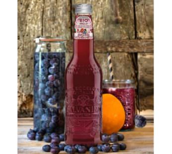 Arancia Rossa Carota Nera Mirtillo 346x310 Rino Mini, Galvanina: il Premio Sofi Award 2016 vinto a New York è di tutti noi!