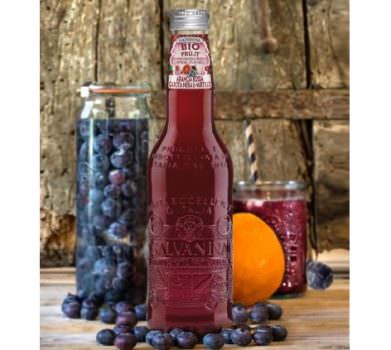 Arancia Rossa, Carota Nera, Mirtillo by Galvanina Fru.it vince il SofiTM Award