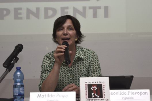 FIVI punta al sud: eletto nuovo Consiglio Direttivo dei vignaioli indipendenti