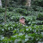 CSC - Caffè Speciali Certificati: i nuovi CaffèTender