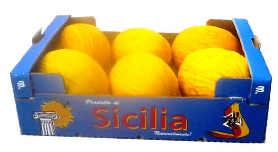 imballaggio melone giallo