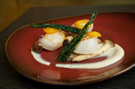 Capasanta scottata in crema di tofu con mandarino cinese e cavolo nero essiccato