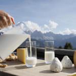 MILA: le vacche felici fanno il latte più buono