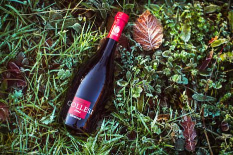 birra Collesi Rossa Ubi