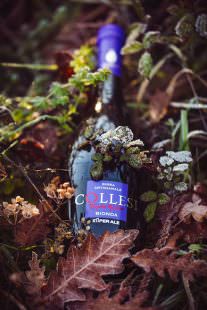 birra Collesi Triplo Malto